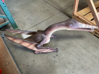 Baby Cearadactylus Bird Dinosaur Statue