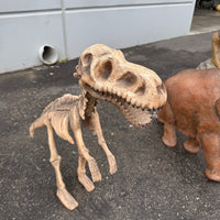 Baby T-Rex Dinosaur Skeleton Life Size Statue