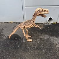 Baby T-Rex Dinosaur Skeleton Life Size Statue