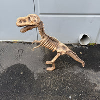 Baby T-Rex Dinosaur Skeleton Life Size Statue