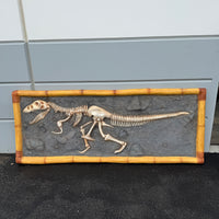 T-Rex Dinosaur Skeleton Wall Decor Dig Statue