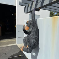 Monkey Chimpanzee Bing Life Size Statue