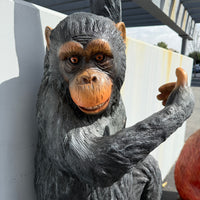 Monkey Chimpanzee Bing Life Size Statue