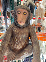 Monkey Hunky Chimpanzee Life Size Statue