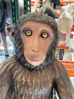 Monkey Hunky Chimpanzee Life Size Statue