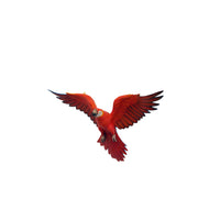 Red Flying Macaw Parrot Life Size Statue