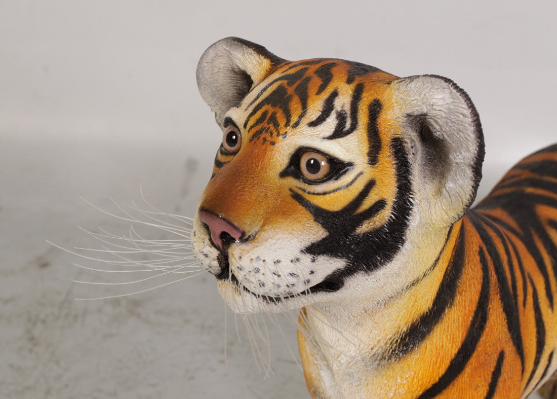 Bengal Tiger Cub Sitting Life Size Statue – LMTreasures-Catalog
