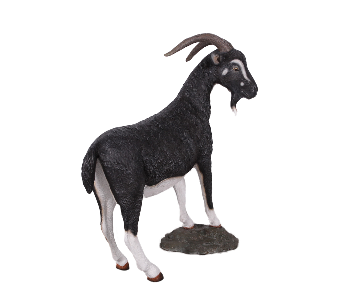 Black Billy Goat Life Size Statue